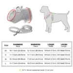 Personalized Dog Harness and Leash Set Free Print Name Pet Vest Harness Lead with Cute Bowtie for Small Medium Dogs Cats Pug - Image 6