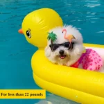 2in1 Dogs Pool Float Inflatable Foldable Pvc Dog Swimming Pool Yellow Duck Float for 22 Lb Pets Summer Pool Interactive Pet Toys - Image 2