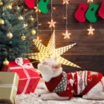 Cute Cat Sweater Costume Winter Warm Pet Clothes for Cats Katten Sphynx Pullover Mascotas Clothing Gatos Products for Animals - Image 5