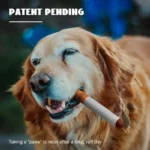 Funny Interactive Plush Dog Toys Creative Cigarette Interactive Giggles Dog Toys Funny Plush Chewing Toy Cigaret Box Pet Gifts - Image 2