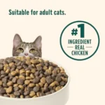 Indoor Complete Chicken, Lentils and Salmon Recipe Dry Cat Food 14 lb. Bag, Packaging May Vary Rachael Ray - Image 6
