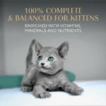 Perfect Portions Kitten Variety Flavors Pate Wet Cat Food, 2.6 oz Twin-Pack Trays 24 Pack - Image 5