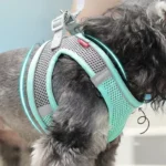 Dog Harness Leash Set for Small Dogs French Bulldog Chihuahua Pug Outdoor Walking Lead Leash Adjustable Puppy Cat Harness Vest - Image 3