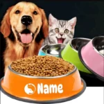 Custom Name Dog Cat Pet Bowl Anti-dumping Stainless Steel Pet Bowl Non-slip Personalize Pet Gift Easy-to-clean Bowl Feeding Tool