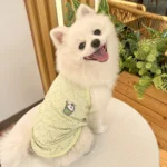 Spring and Summer Small Dog Clothes, Dog Straps, Thin, Breathable, Small and Medium-sized Dog Two Legged Pet Cat Clothes - Image 6