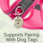 DH009-Adjustable Leopard Print Pet Cat & Dog Harness, Vest Harness Breathable Skin-Friendly Mesh, 1.5-Meter Leash, Lightweight - Image 6