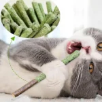 Cat Grass Sticks Indoor Cat Teething Grass Sticks Teething Stick Snacks For Cats Cat Grass Sticks For Hairball Removal - Image 4