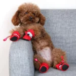 Waterproof Pet Dog Shoes Chihuahua Anti-slip Rain Boots Footwear For Small Cats Dogs Puppy Dog Pet Booties - Image 5