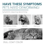 50ml Pet Anti Flea Tick Agent for Cats, Dogs, and Dogs. Extracorporeal Deworming Skin Cleaning Agent for Lice, Ticks, and Ticks - Image 5