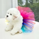 Fashion Tutu Dress Teddy Schnauzer Puppy Pet Costume Apparel Dog Dress Dog Skirts Pet Supplies Puppy Clothes - Image 2