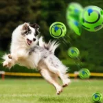 Funny Interactive Giggle Ball - Balls for Dog IQ Training, Pet Interactive Toy, Stimulating Play, Mental Stimulation, and Exerci - Image 4