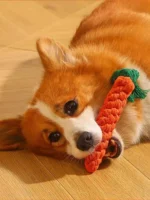 1pc rope knot grinding teeth resistant hand-woven animal cotton rope small and medium-sized dog pet dog toys - Image 4