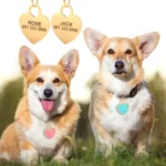Personalized Dog ID Tag Cute Heart Shape Kitten Puppy Tags Engraved Name Plate Pendant Anti-lost For Dogs Cats Pet Accessories - Image 2