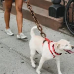 Chain Dog Leashes Simulation Life-Like Iron Chain For Large Medium Small Pet - Image 4