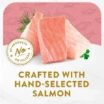 Purina Appetizers Wet Cat Food, Steamed Alaskan Salmon, 1.1 oz Trays, 10 Pack - Image 4