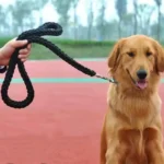 Large Dog Leash Nylon Braided Traction Rope Pet Walking Thick Hand Rope For Bulldog Rottweiler Hound Dogs Accessories - Image 4