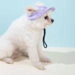 Summer Round Edged Pet Cat Dog Hat with Sunshade and Exposed Ears Adjustable Anti Pinch Dog Hat Cat Hat Pet Supplies - Image 7