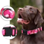 Tactical Dog Collar Adjustable Nylon Dog Supplies With Heavy Duty Metal Buckle Durable Training Collar For Medium And Large Dogs - Image 6