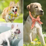 Reusable Pet Cooling Neck Wrap, Summer Cartoon Ice Collar for Dogs Cats, Heat Relief Cold Scarf for Outdoor Walk - Image 4