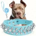Spiked Dog Collar And Leash Set, Rivet Leather Dog Collar Adjustable Dog Collar For Outdoor Walking - Image 3