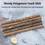 5pc Catnip Stick Pet Cat Molar All Natural Self-healing Wooden Toys Suppli Cleaning Relieve Polygonum Snacks Chews Boredom Z0A6 - Image 5
