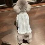 1PC Summer Pet Vest, Small Pet Clothing, Teddy Bear, Pomeranian Dog, Fairy Dress, Pet Cat, Dog