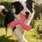 Dogs Eva Boomerang Flying Disc Play Tooth Chew Toy Indestructible Safe Large Dog Tough Toys Resistant Pet Supplies Water Toys - Image 2