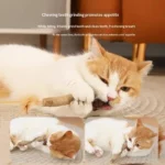 1/2PCS Cat Toys Made Of Wood Knotweed Teething Sticks Insect Galls Raffia Sisal Rope Teeth Cleaning Toys Cat Teasing Sticks - Image 2