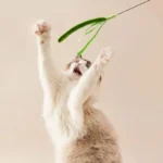 Kimpets Cat Dog Tail Grass Dog Sage Feather Long Pole Cat Teasing Stick Bite Resistant Self Soothing Tool Cat Toy Pet Supplies - Image 7