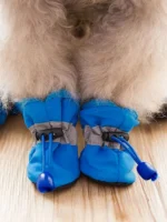 Waterproof Pet Dog Shoes Chihuahua Anti-slip Rain Boots Footwear For Small Cats Dogs Puppy Dog Pet Booties - Image 6