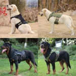 Military Large Dog Harness Pet German Shepherd Training Vest Tactical Dog Harness And Leash Set For Dogs Accessories - Image 5
