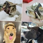 Dog Hat Large Dogs Dog Sunscreen Hat Baseball Cap Outdoor Sports Hat with Ear Holes Adjustable Pet Hat for Small and Medium Dog - Image 10