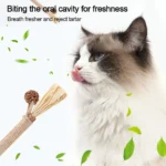 Silvervine Sticks Pet Cat Toys Natural Catnip Suit Safety Sisal Molar Toothpaste Branch Cleaning Teeth Cat Snacks Pet Supplies - Image 4
