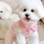 Summer Clothes for Dogs Puppy Shirt Blouse Spring Pets Clothing Dog Doggy Pet Shirts Apparel Supplies - Image 4