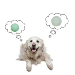 Reflective Solid Dog Toys Ball Pets Dogs Bouncing Ball Toys Pet Training Cat Toy Ball Puppy Interactive Play Toy Pet Supplies - Image 6