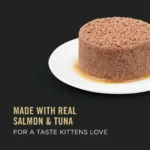 Grain-Free Salmon Tuna Wet Food for Kittens 3 oz Cans 24 Pack - Image 3