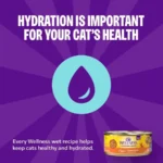 Complete Health Gravies Adult Canned Wet Cat Food, Natural, Protein Rich, Grain Free, Chicken and Tuna Dinner Recipe, 3 oz, Pac - Image 2