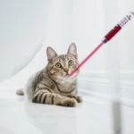 Laser Pointer Funny Cat Toys Laser LED Infrared Interactive Toy or Teaching Projection Indicator Mini Keychain Laser Pen - Image 5