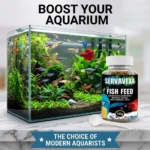 60g/150g Clear Water Fish Food Granules for Small Tropical Fish Tetra Guppy Betta Color Enhancing Daily Diet Aquarium Supplies - Image 4