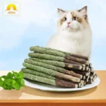 Cat Grass Sticks Indoor Cat Teething Grass Sticks Teething Stick Snacks For Cats Cat Grass Sticks For Hairball Removal - Image 2