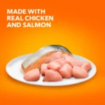 Proactive Health Chicken And Salmon Dry Cat Food, 7 Lb Bag - Image 3