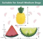 Pet Freezable Cooling Chew Toy Dog Cat toy Summer Pineapple Lemon Watermelon Design Durable Bite-Resistant Dog Ice Frozen Toys - Image 5