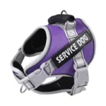 Personalized Name Dog Harness Service Dog Adjustable Labrador Dog Harness Reflective For Large Dogs Dog Walking Accessories - Image 2