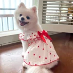 Thin Dog Cooling Dress, Puppy Summer Clothes, Bow, Heart Print, Pet Skirt, Kitten Dog Costume, Chihuahua, Bichon, Yorkie, Girls - Image 3