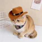 Pet Cowboy Hat with Bandana Western Style Star Decor for Cats Dogs Small Large Sizes Party Cosplay Costume - Image 4