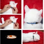 Cartoon Cat Head Reflective Pet Collar Colorful Bell Adjustable Safety Neck Strap Fashion Pet Collar For Kitten Puppy Small Dog - Image 6