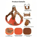 Pet Dog Harness Leash Set Small Medium Dog Cat Vest Breathable Puppy Chest Strap French Bulldog Chihuahua Harness Pet Supplies - Image 3