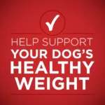 Natural wet dog food with high protein lamb and brown rice in 13 oz can - Image 4