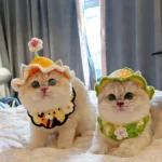 Cute Cat Hat Scarf Set Funny Pet Party Cosplay Headwear Delicate Hemming Pendant Decor Elasticity Knitted Hat Scarf Pet Supplies - Image 3