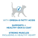 Plus Natural High Protein Dry Cat Food Salmon and Ocean Whitefish Skin and Coat Health Formula, 7 lb Bag - Image 5